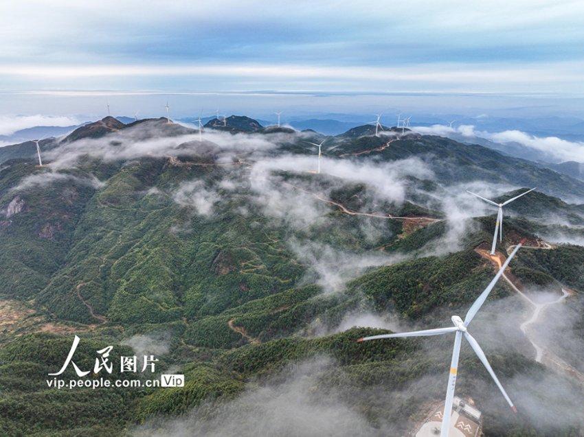 美人鱼的聚会